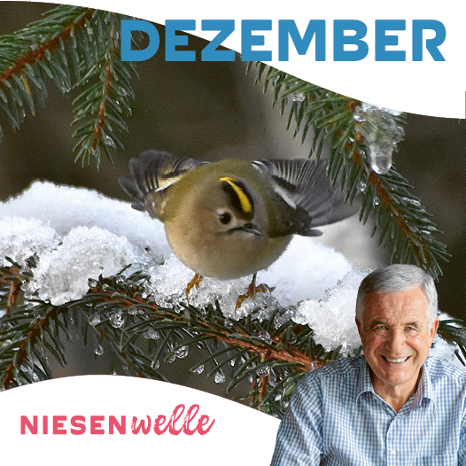 Hanspeter Latour, im Dezember: Vom Schneehuhn, einem Bähndli und grossen Träumen