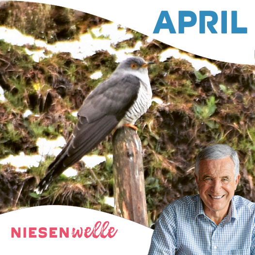 Hanspeter Latour, im April: Lesen, Wandern, Kuckuck hören – Biodiversität to go
