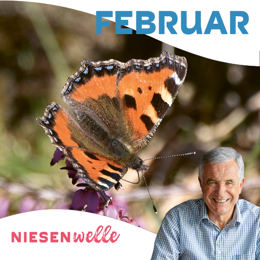 Hanspeter Latour, im Februar: Frühling, Frösche und Fischreiher - Hanspeter taucht ab