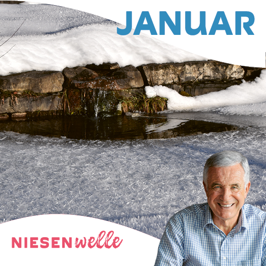 Hanspeter Latour, im Januar: Winterruhe und Totzenfreude - Hanspeter und das Holz