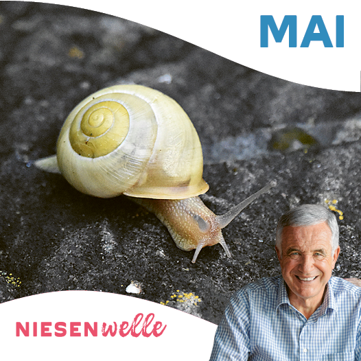 Hanspeter Latour, im Mai: Hanspeter jubelt - und der Mai auch.