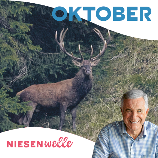 Hanspeter Latour, im Oktober: Laub, Lärche & Latour